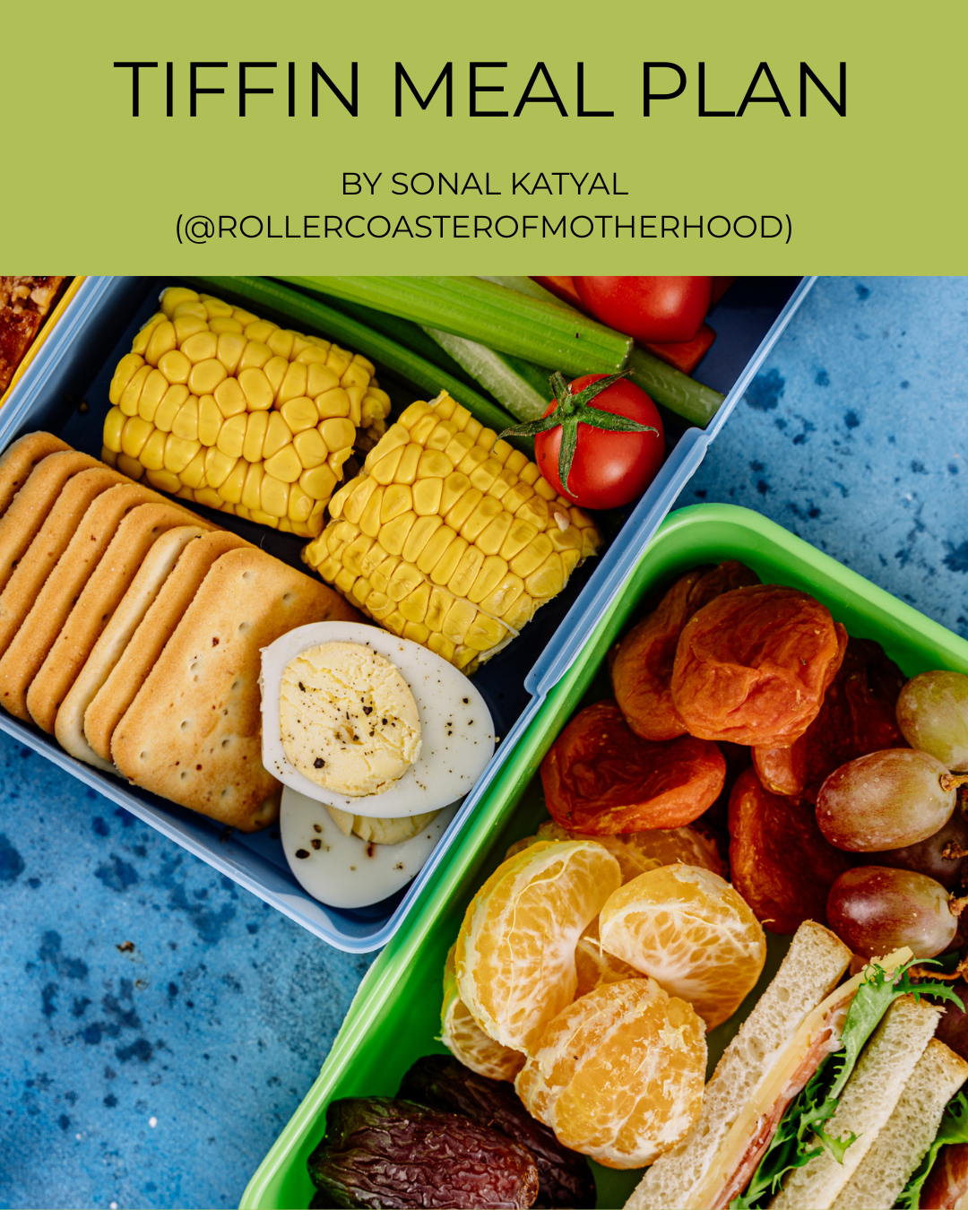Tiffin Meal Plan